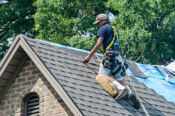 Best Gutter Installation and Roofing  in Eastport, ME